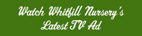Whitfill TV Banner