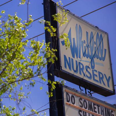 North Phoenix/Scottsdale