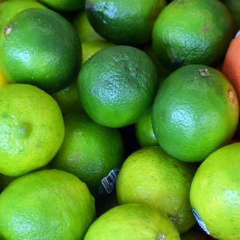 Citrus aurantifolia - Mexican (Key) Lime
